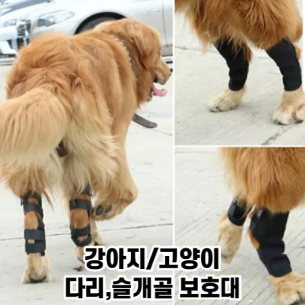 최강몰 강아지 쓸개골 슬개골 골절 관절염 탈구 보조기 보호대 S M L XL, 1개, 20g
