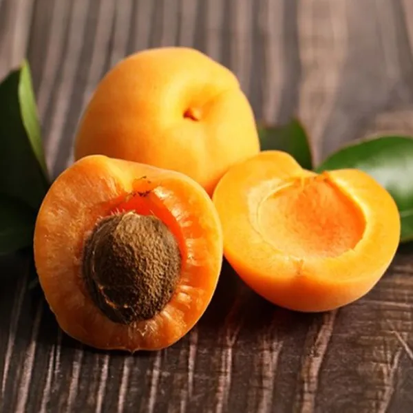 Funet 자두 살구 생과 2kg 1박스 21_살구 500g