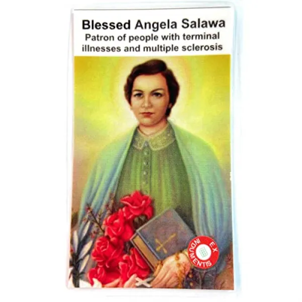 NMT 유물 카드 3 회 클래스 축복 Angela Salawa Franciscan의 Patron 학생들은 다발성 경화증을 가진 사람들이 말단 질 - P034008GJLF7QB8, 기본