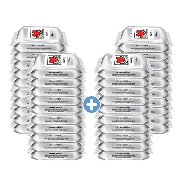 키스해링 프리미엄 물티슈 휴대형 20매 40팩