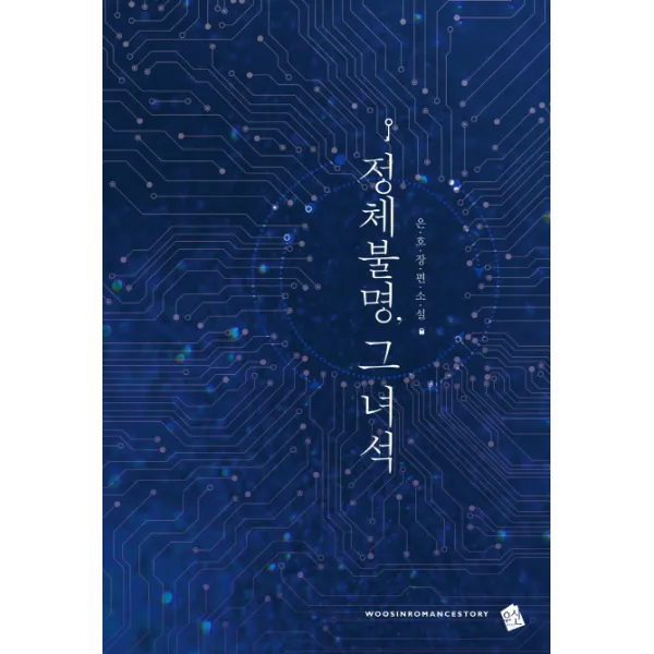 정체불명 그 녀석:은호 장편소설, 우신출판사