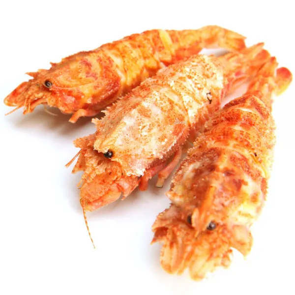 새우몰 러시아 곰새우 (대) 750g 19-27미내외, 1개