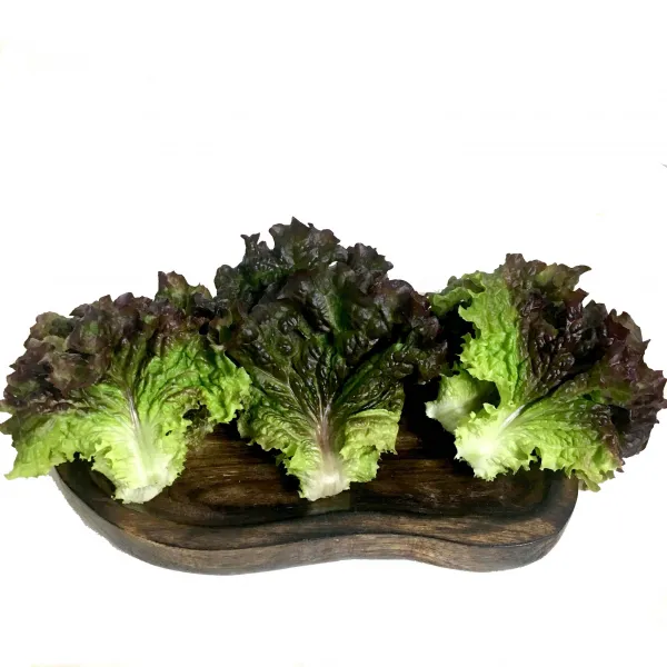 성주농원 가야산 상추, 1박스, 2kg