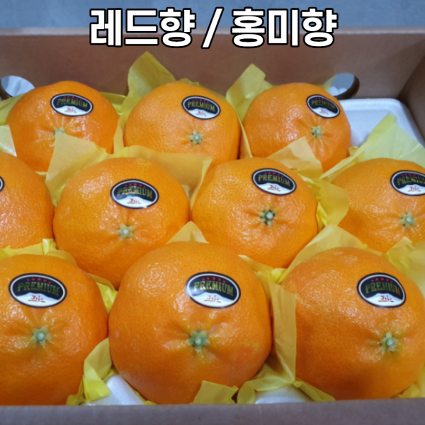 [ 제주 서귀포 고당도 ] 미하야 만감류 썬레드 홍매향 홍미향 5kg 가정용 선물용, 홍미향 5kg 선물용