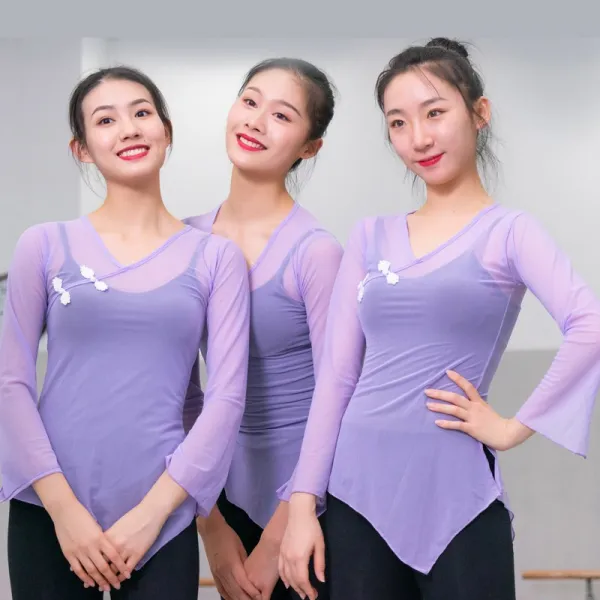 댄스복 고전무용 복무용 망사의류 트레이닝복 여자성인 형체 등급고시 민족춤 연출복, C03-바이올렛