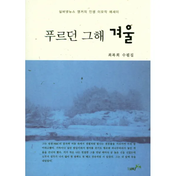 푸르던 그해 겨울:실버넷뉴스 앵커의 인생 이모작 에세이, 북나비