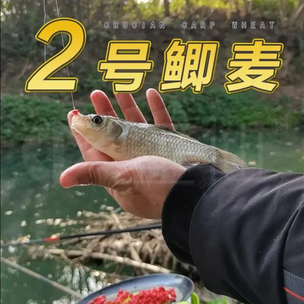 거명 무역 가게 수선화 붕어 밀속어낚시 미끼 전국 후크 열다 편리한 신속 수월함, 시험적 사용 룩 1보틀 19 원 ，도