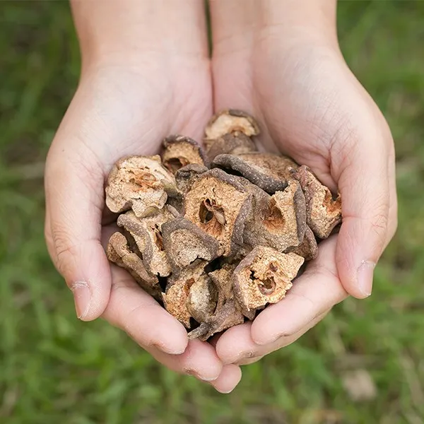 국산 돌배 야생배 편 200g 야생돌배 한방재료 한약재 한방차 1304_국산 돌배 야생배 편 200g