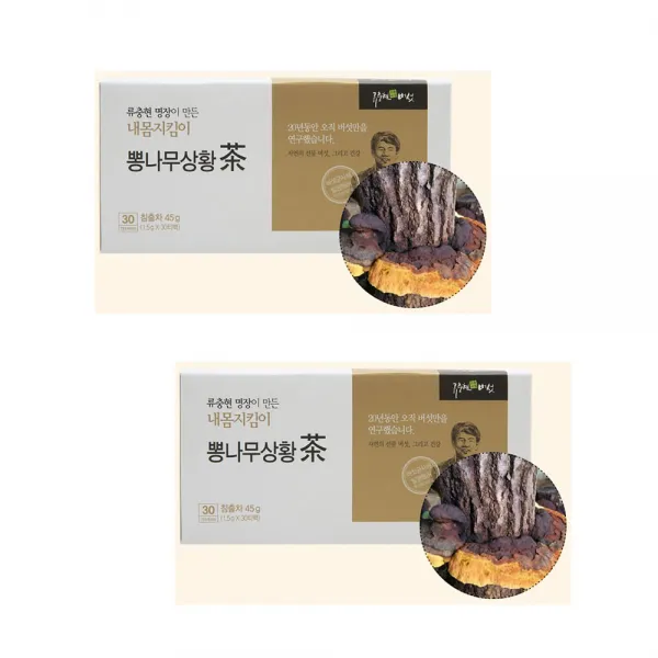 영누리 상황버섯차 건강차 한방차 1.5g 2박스 총60티백, 단품, 단품