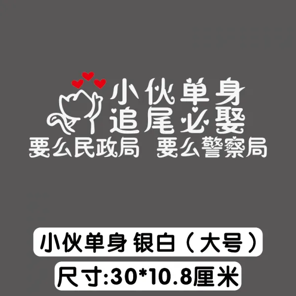 에스앤피 나이 먹은 것이다 여성 추돌 시집가다 차량용 장가들다 자동차 젊은남자 소녀 독신자 정국, 젊은남자 독신 실버화이트 （큰사이즈