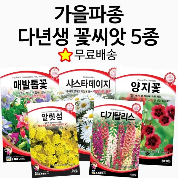 가을파종 다년생꽃씨 5종세트 가을꽃씨 야생화 벨가못 매발톱 샤스타데이지 알리섬 디기탈리스 꽃 종자