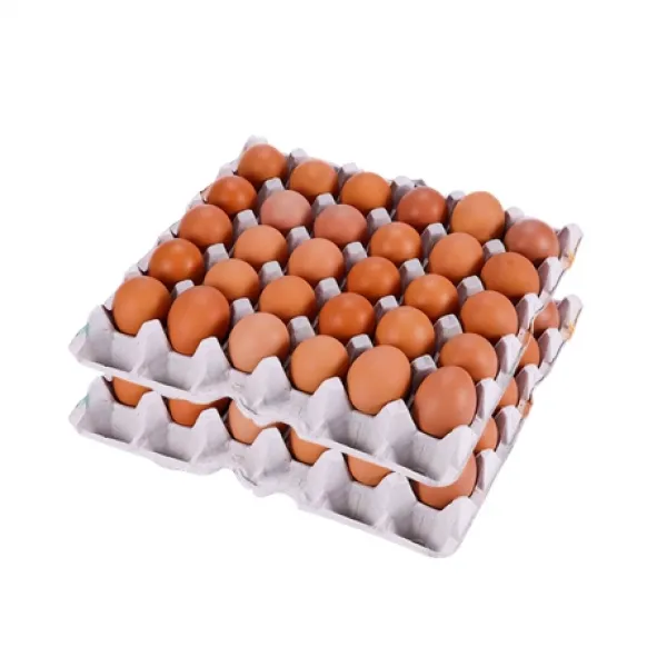  시선 무항생제 구운계란 1세트 60개 35g