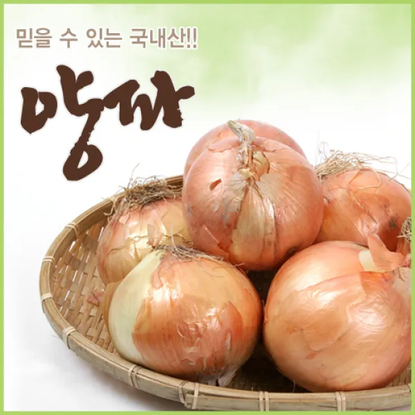 아빠의 마음 22년햇양파 3/5/10kg 엄선선별 등급별 판매, 양파5kg(상품)