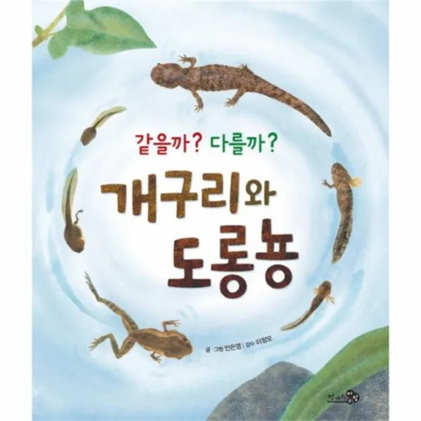 웅진북센 같을까 다를까 개구리와 도롱뇽 44 바람그림책, One color | One Size@1