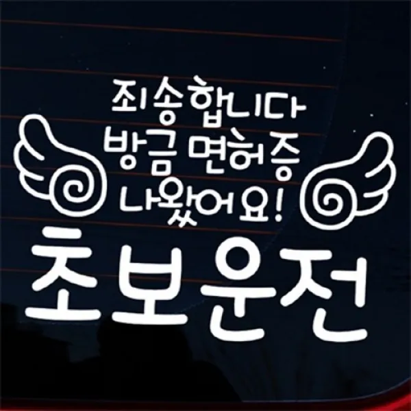 아트박스/뭉키데코 [LSC-403]글씨 죄송합니다 방금면허증 나왔어요 초보운전