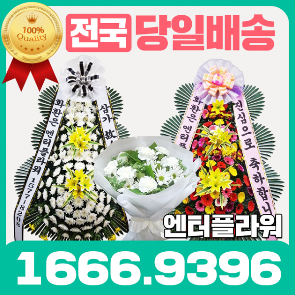 전국3시간이내 화환 당일배송 결혼 축하 개업 근조화환 조화배달 근조 화환 당일 배송 부산.대전.대구.광주.창원 총알배송