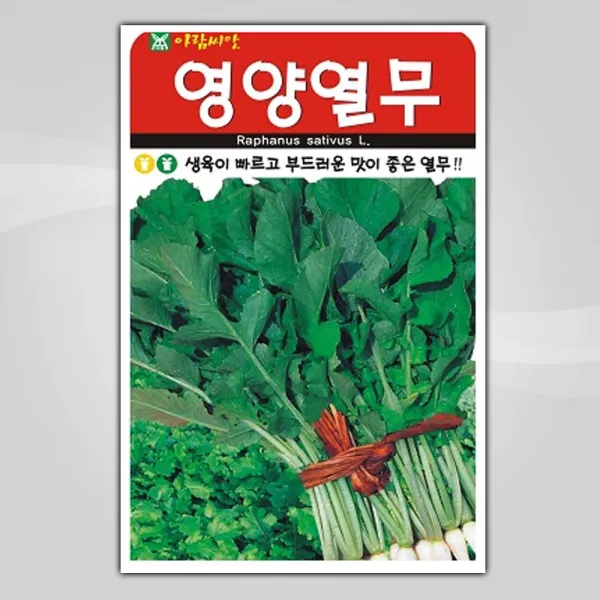 슬로시 슬로시 김장 채소 씨앗 무 배추 당근 씨 종자, 영양열무20g(아람)