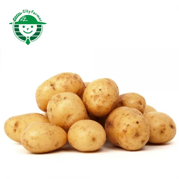 농수산물시장 특품 경매 저장감자 20kg 한박스