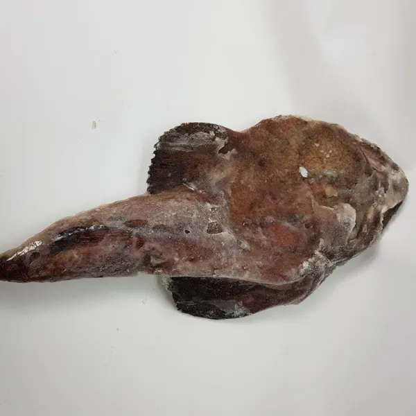 바다가주는선물 아귀4미 10kg 아구 절단가능, 1개, 10
