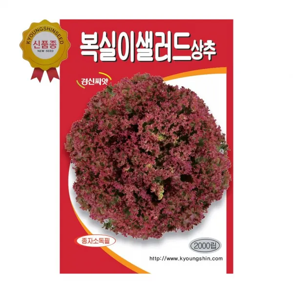 경신종묘 상추씨앗 복실이샐러드상추 2000립