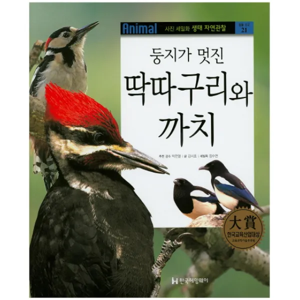 둥지가 멋진 딱따구리와 까치, 한국헤밍웨이