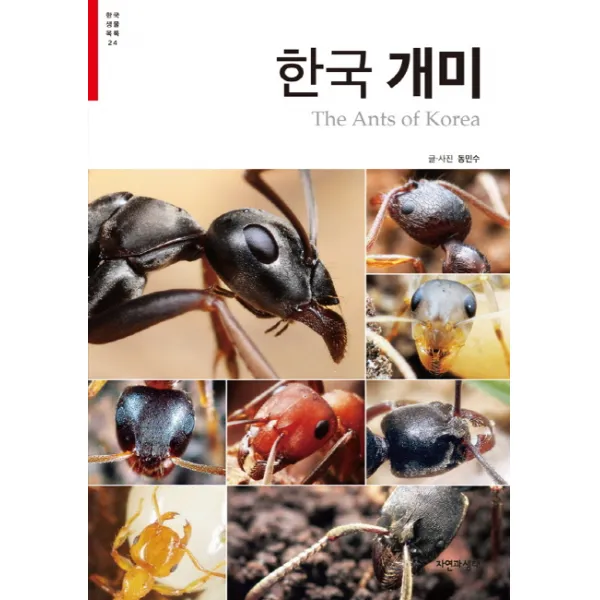 한국 개미, 자연과생태
