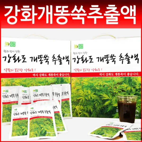 강화약초 사자발약쑥 엑기스 건강즙 100ml 개똥쑥엑기스 30개입 X 2박스