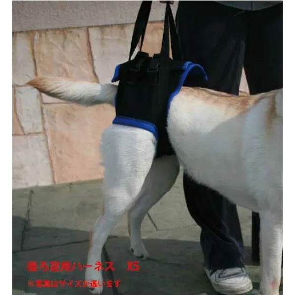 보행 보조 선 빔 (뒷다리 용) xs (몸통 주위 34 ~ 38 cm) 간병인 용 애 완 견 케 어 늙 은 개 강아지 강아지 강아지 강아지 강아지 강아지 케 어 애완동물 상품 뒷발, 상세설명참조 상품 문의는 상품 문의란에 적어주세요