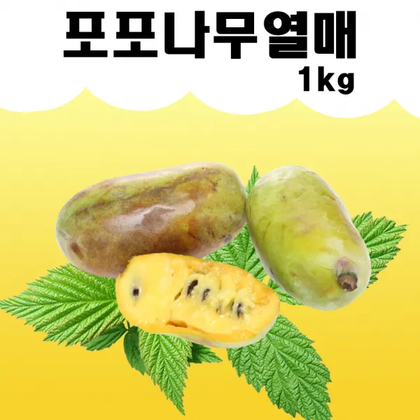 포포열매 몸에 좋은 고창 포포나무열매 아열대 과일 1kg