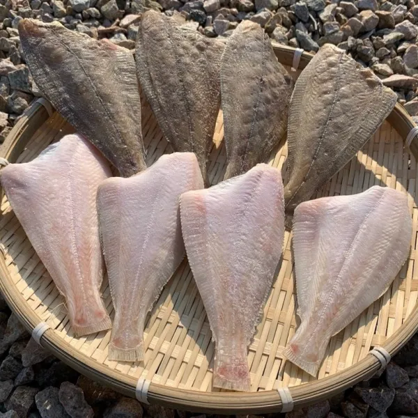 푸른어부 참가자미(용가자미), 8마리, 680g 내외