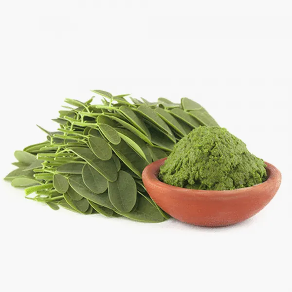 송림식품(주) 모링가잎 분말 가루 500g, 1봉