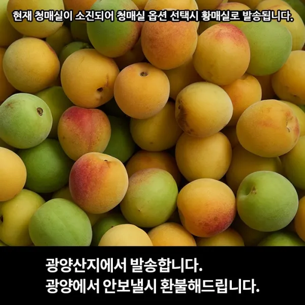 착한식탁전남 전남 광양 황매실, 청매실 10kg 상