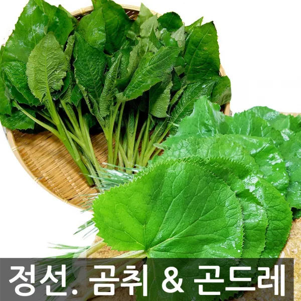 햇살농원 강원 정선 생 곰취나물 And 곤드레나물 2kg 선택구매 / 당일수확 산지직송