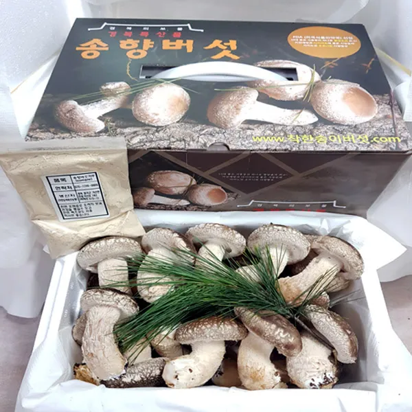 [산지직송선물용]착한송이송향버섯 송화고버섯 오전11시전주문시 내일도착(주말 및 공휴일 제외), 1박스, 선물용1kg