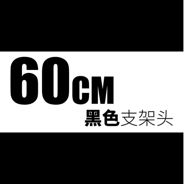 낚시받침틀 Verbatim리스 포대 지지대 카본 80cm60단마디 외마디 낚시대 초경량 슈퍼하드 장대, C01-기타