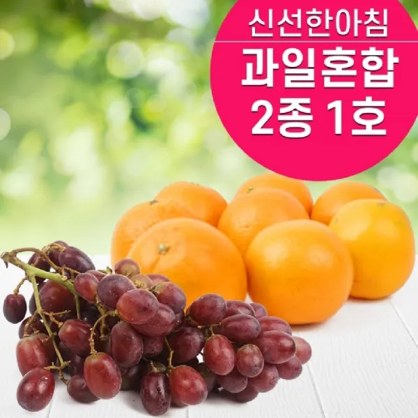 FRESH 장보기 과일혼합 2종1호/가공잼, 단일상품