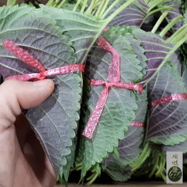 새벽들 깻잎 (1단 3단 50단(1.5-2kg)), 1봉, 1단