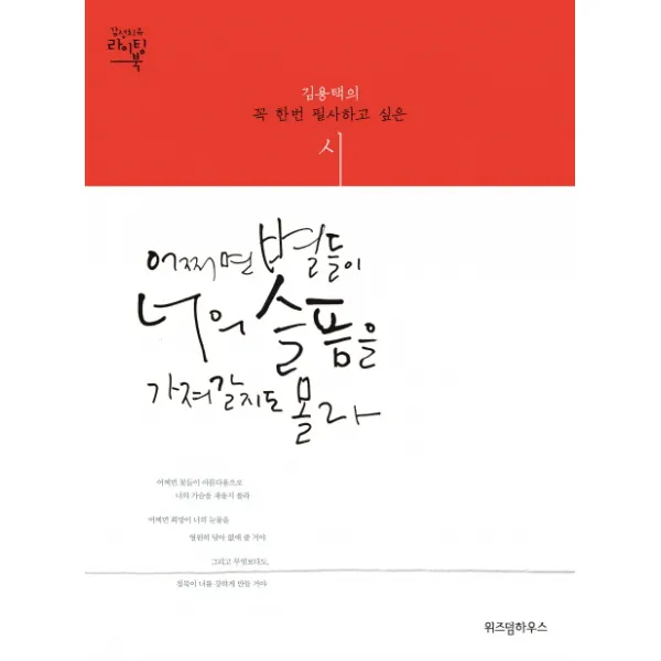 어쩌면 별들이 너의 슬픔을 가져갈지도 몰라:김용택의 꼭 한번 필사하고 싶은 시, 위즈덤하우스