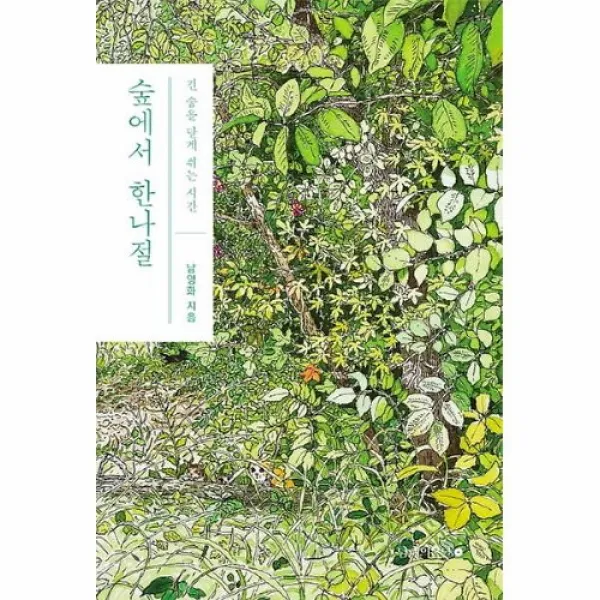 커넥츠북 숲에서 한나절, 단품없음