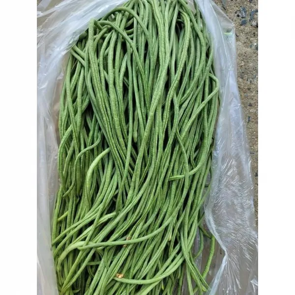 줄콩 동남아시아채소 생줄콩 롱빈 껍질콩 초록줄콩, 줄콩 1kg