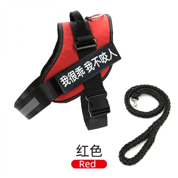 Mar.20 176번 강아지 가슴 멜빵 견인줄 덕목 조끼형 말견 사모예 용품 대형 중형견 산책용 목줄 체인z Xs 8 13 근 8 근 미 만 의 연락 서비스 빨강 + 여덟 줄 1.2m 선물