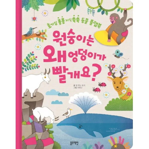 원숭이는 왜 엉덩이가 빨개요, 블루래빗