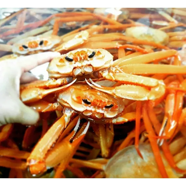 [산지직송 박달홍게] 자숙박달홍게 중.대 6마리 품질 수율보장