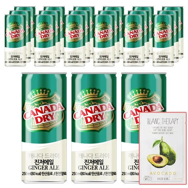 캐나다드라이 진저에일, 24개, 250ml+코코사은품