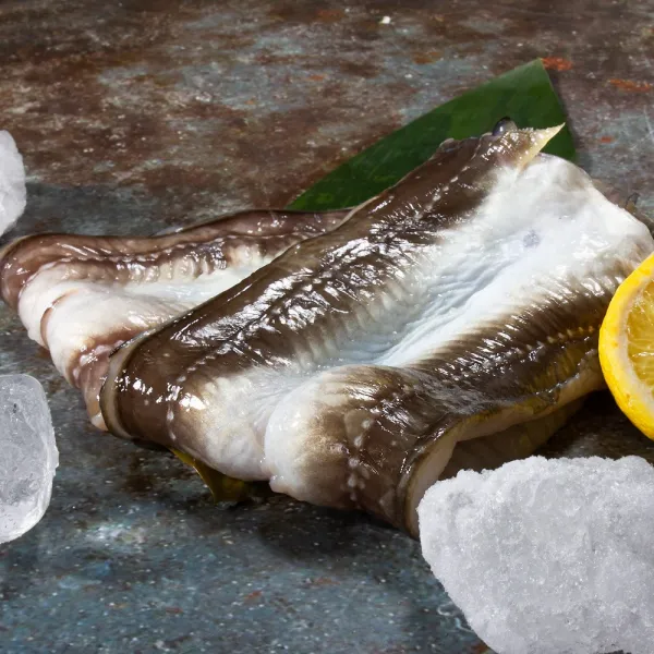 통영베네치아수산 프리미엄 통영 자연산 바다장어 아나고 붕장어 중 구이용 6~7미 장어 1개 장어구이 중 6~7미 