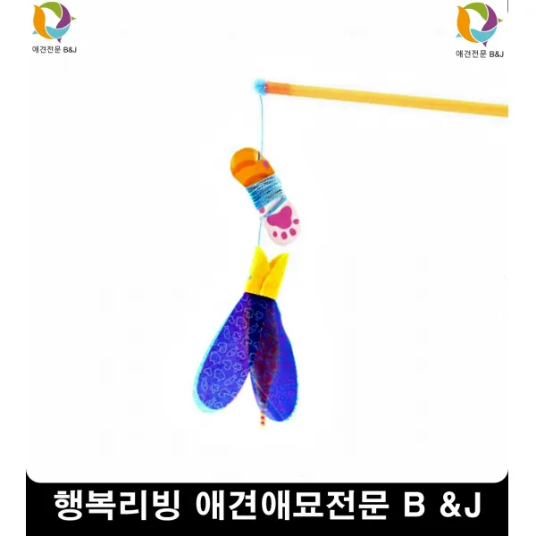 눈더러운관리필수애완동물세정제 푸들눈물 애견눈물 펫안구세정제, 1개, 1개