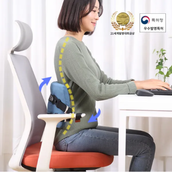 의자등받이 등받이 쿠션 골반 틀어짐 교정 허리통증 완화방법 SNPE 카이로스 평생척추쿠션, 그레이
