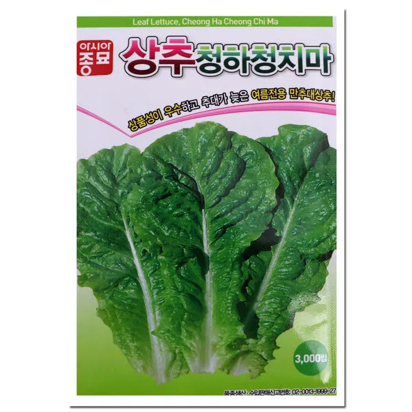 아시아종묘씨앗 잎채소 A6.상추청하청치마