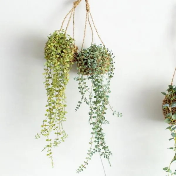  바보사랑 화분세트 버들잎바인 라탄 행잉 미니 행잉플랜트 실크플라워 인테리어 조화 행잉플랜츠 진그린/라탄행잉바구니미니