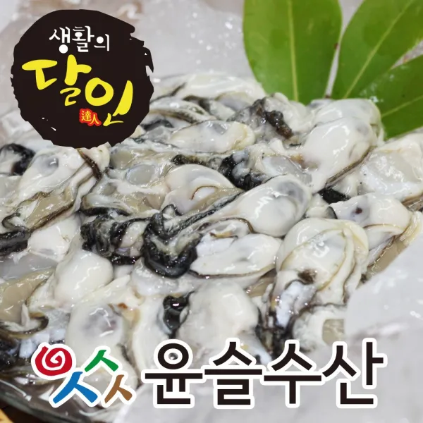 슬기로운 구매생활! 통영생굴, 1box, 1kg
